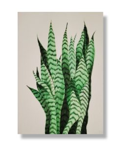 Alternative view of Tropical Leaves