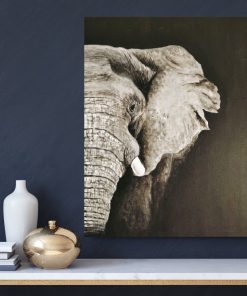 Alternative view of A000002 HASTHI