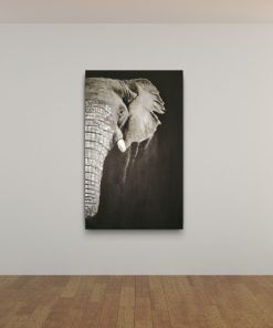 Alternative view of Hasthi II