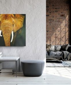 Alternative view of HASTHI III