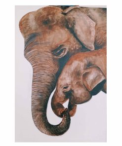 A000001 - Elephant UNI